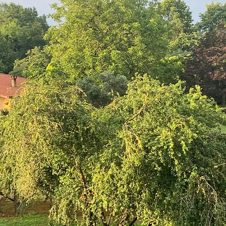 Penzion Gers, Midi-pyrenees : Sejour De Charme A La D'auzan